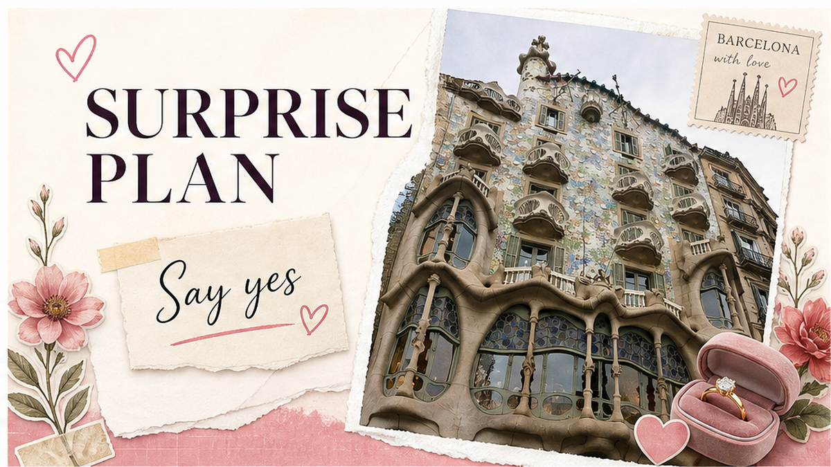 Cover: SURPRISE PLAN