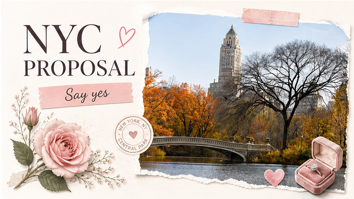 Cover: NYC PROPOSAL